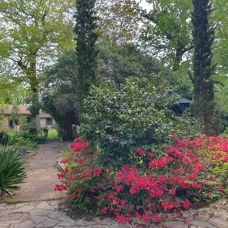 Manoir De Tireveste Couette-café