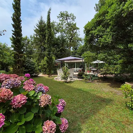 Bed & Breakfast Manoir De Tireveste Lesperon (Landes)