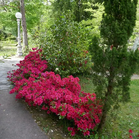 Bed & Breakfast Manoir De Tireveste 3*